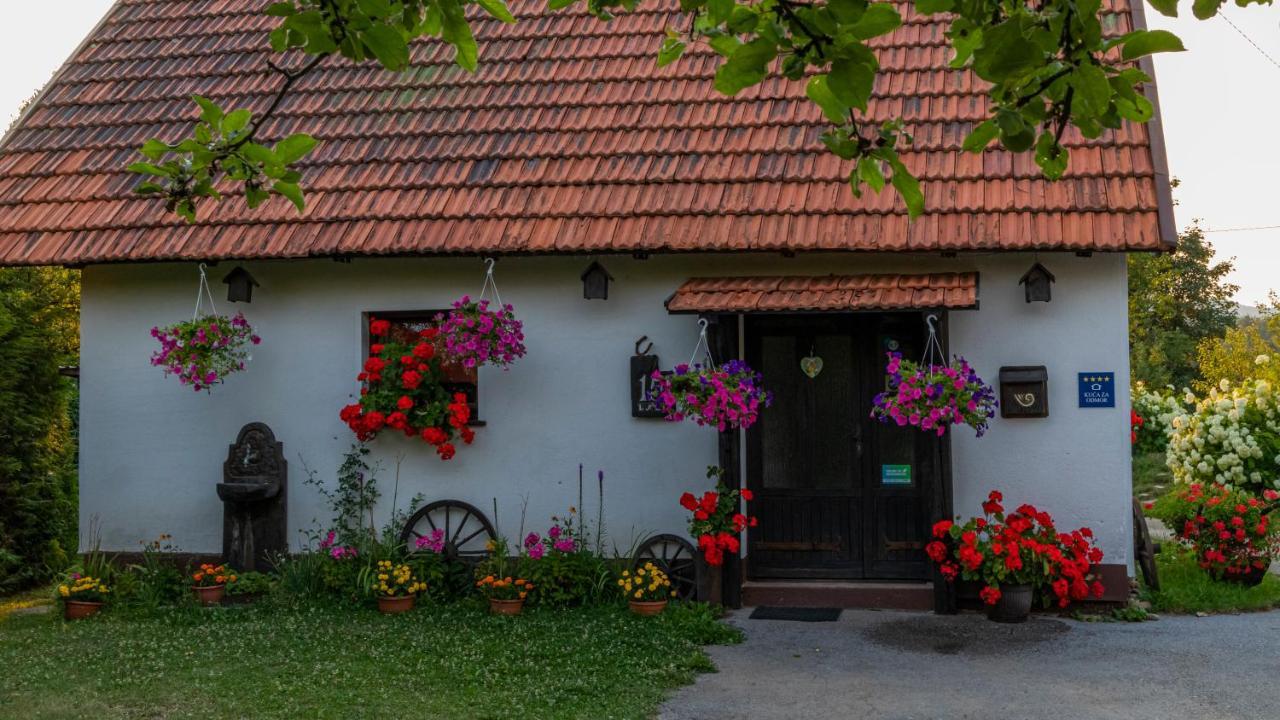 Holiday Gorski Lazi Holiday home
