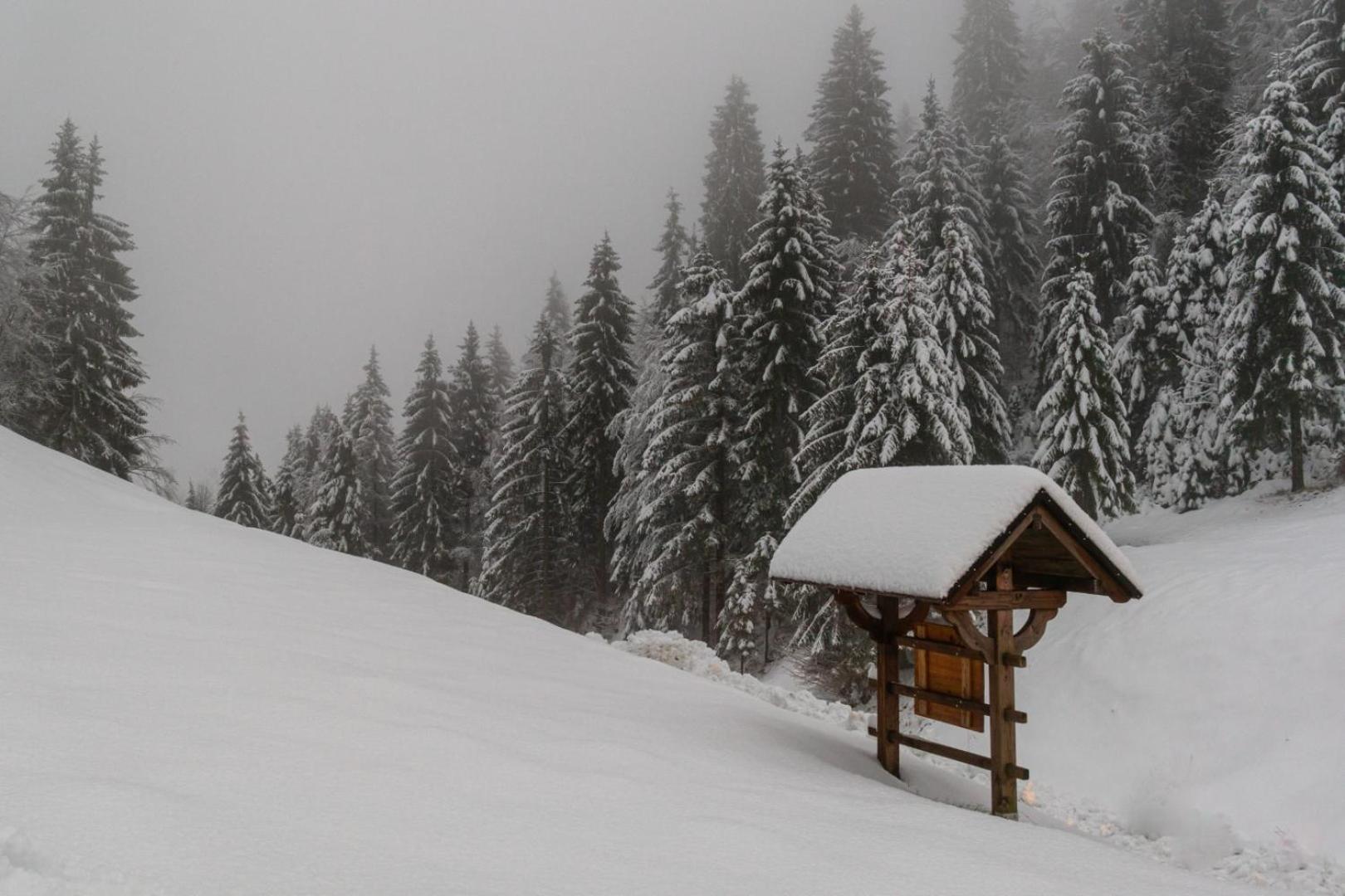 Holiday Gorski Lazi Holiday home